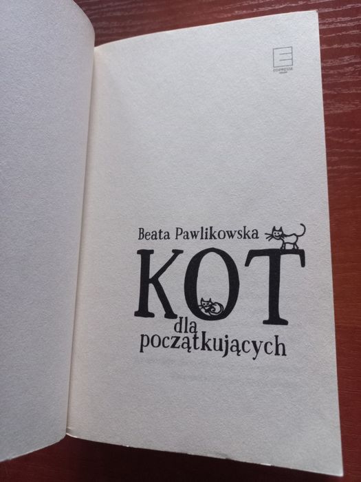 Kot dla początkujących