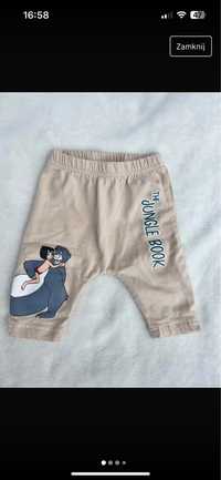 Legginsy spodenki niemowlęce chłopczyk dziewczynka Disney baby 56