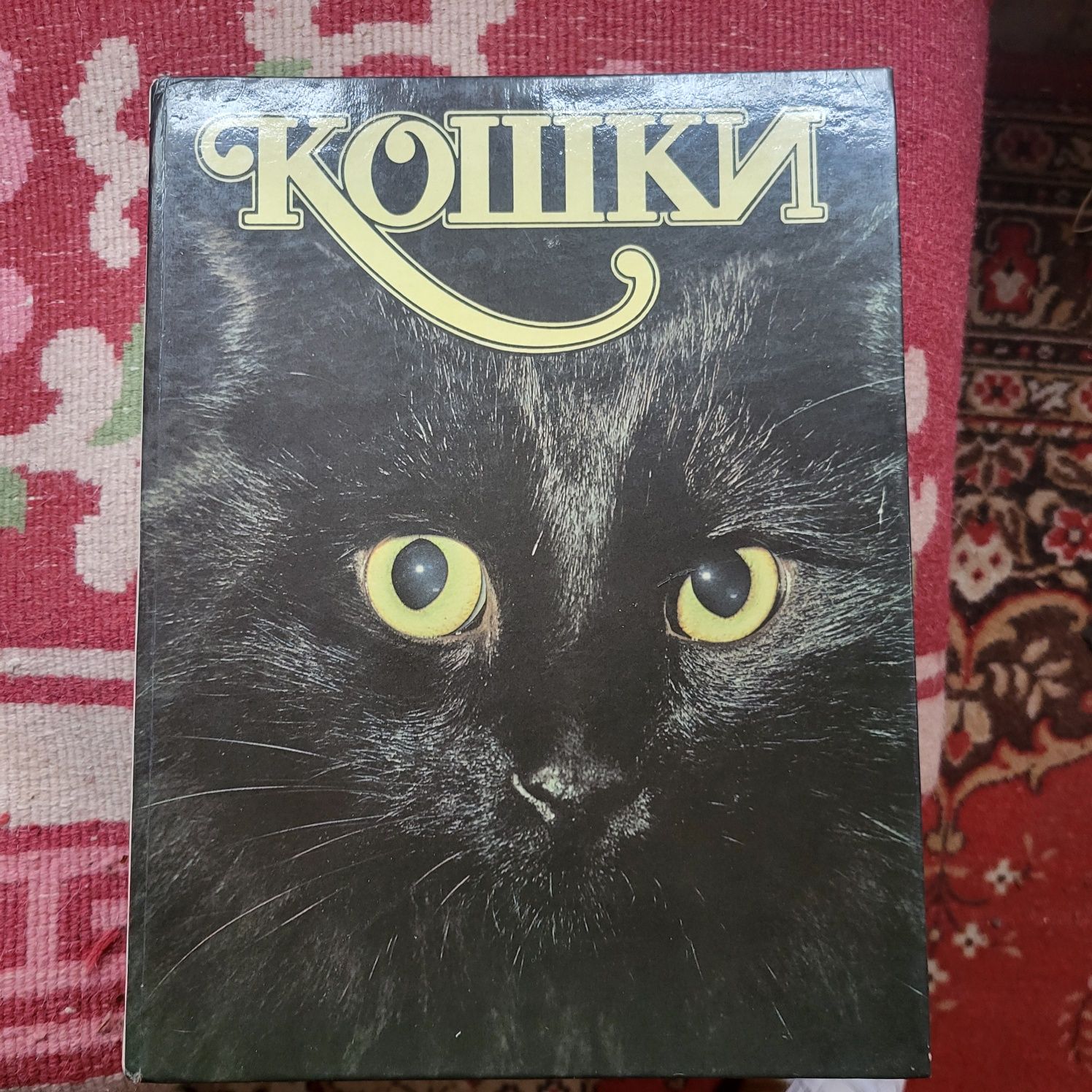 Редкая иллюстрированная книга все о кошках