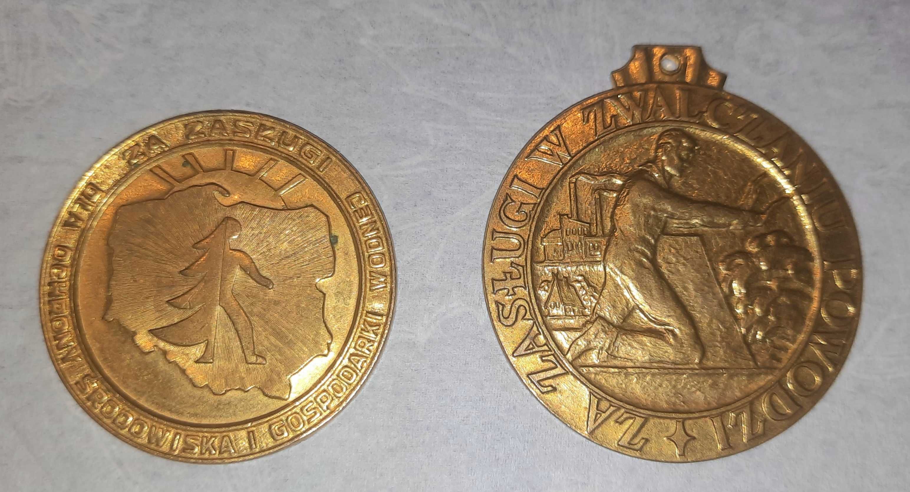 Medal,odznaczenie,plakieta . Za Zasługi w Zwalczaniu Powodzi.