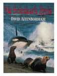 Na Ścieżkach Życia David Attenborough twarda bdb jak nowa