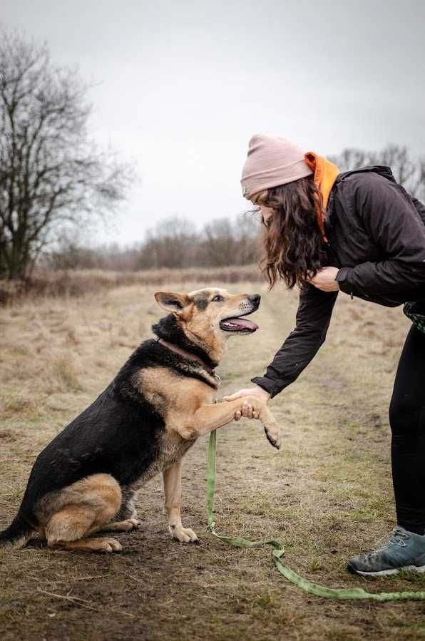 Odebrany interwencyjnie Kubuś szuka kochającego domu