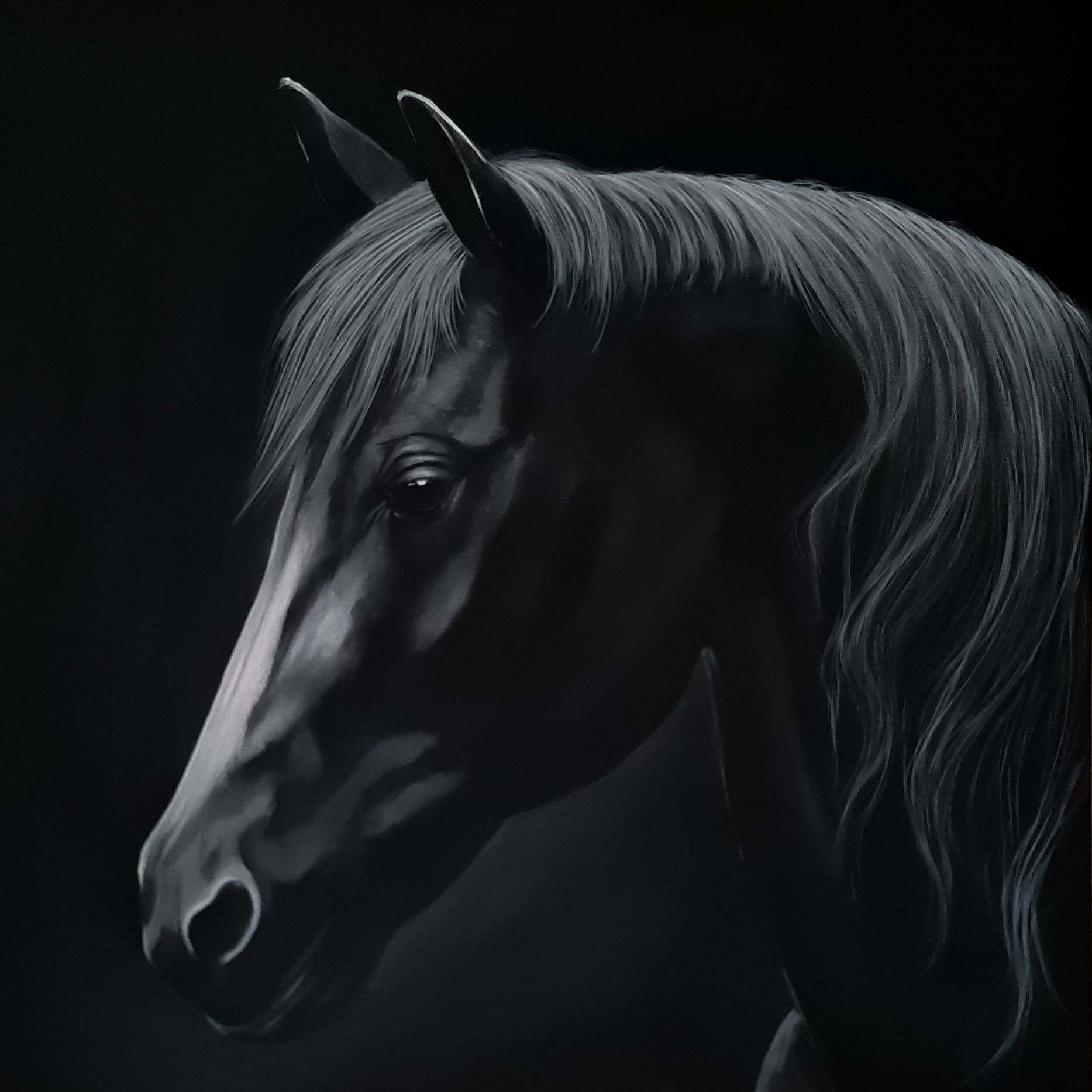 Obraz ręcznie malowany Koń Akryl 50x50