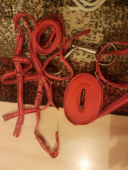 Lonża, kantary, wędzidło. Akcesoria dla konia do jazdy.