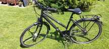 Rower  Rixe.    .