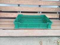 Skrzynka plastik na truskawkę
