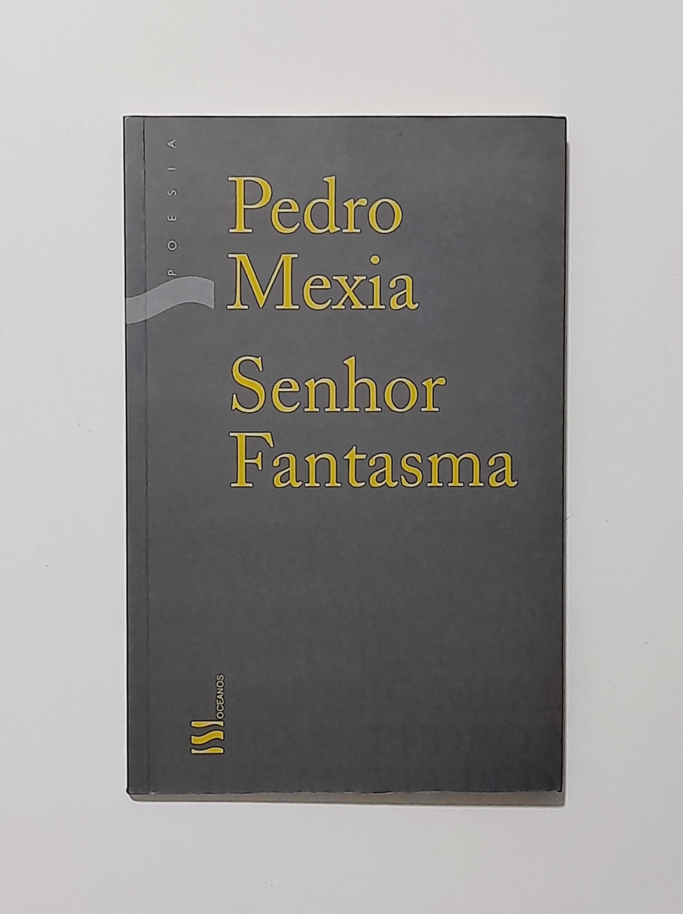 Senhor Fantasma - Pedro Mexia