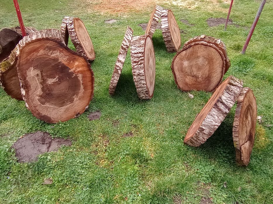 Plastry orzech włoski