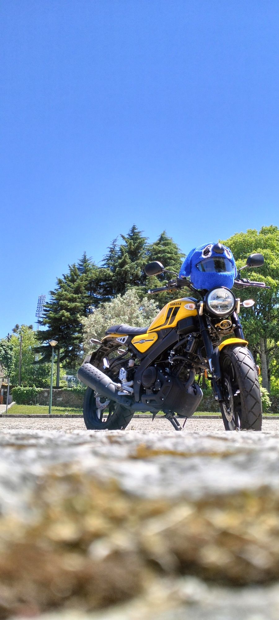 Yamaha xsr 125 cc