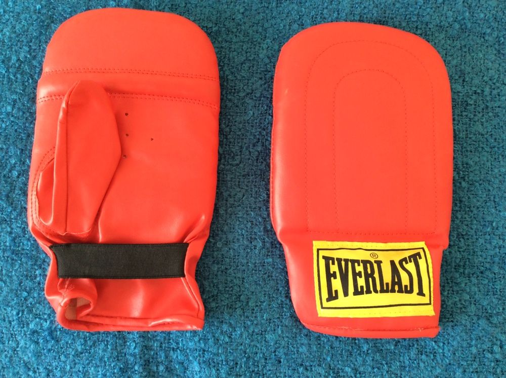 Pad de boxe - Everlast