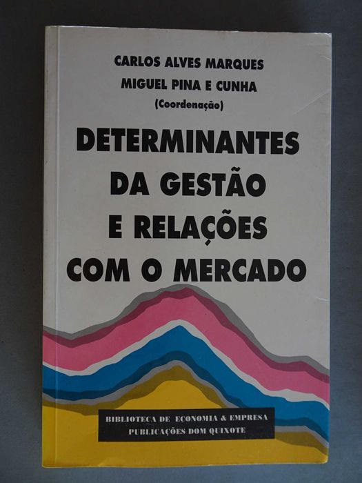 Livro - Determinantes da gestão e relações com o mercado
