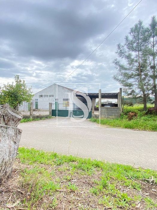 Armazém, Torres Novas