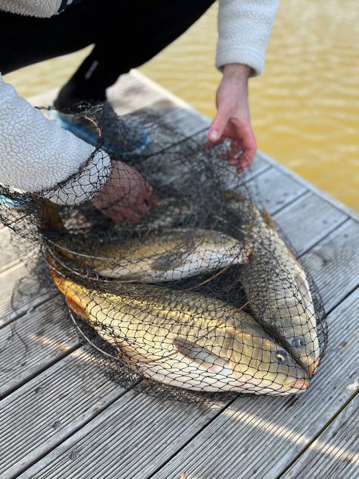 Оренда будинку на березі озера, баня, чан, риболовля, котеджі подобово