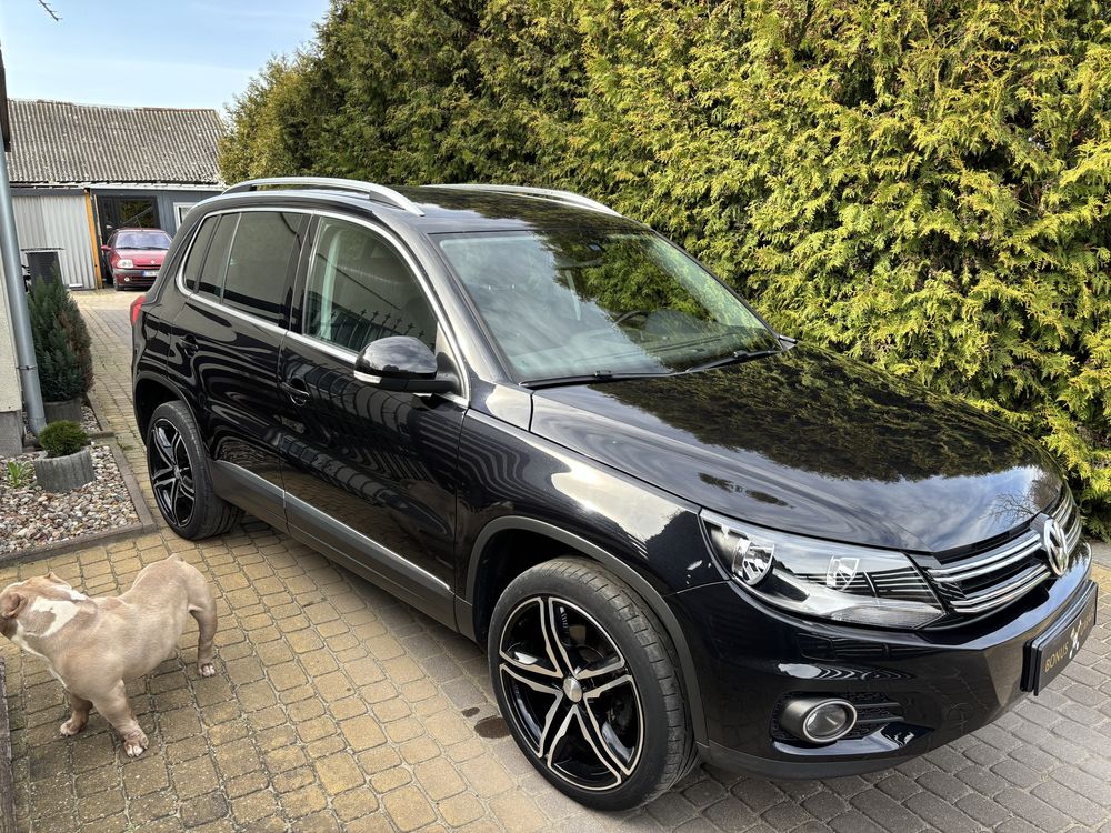 Vw tiguan z Niemiec alu 19’’ DSG 4motion