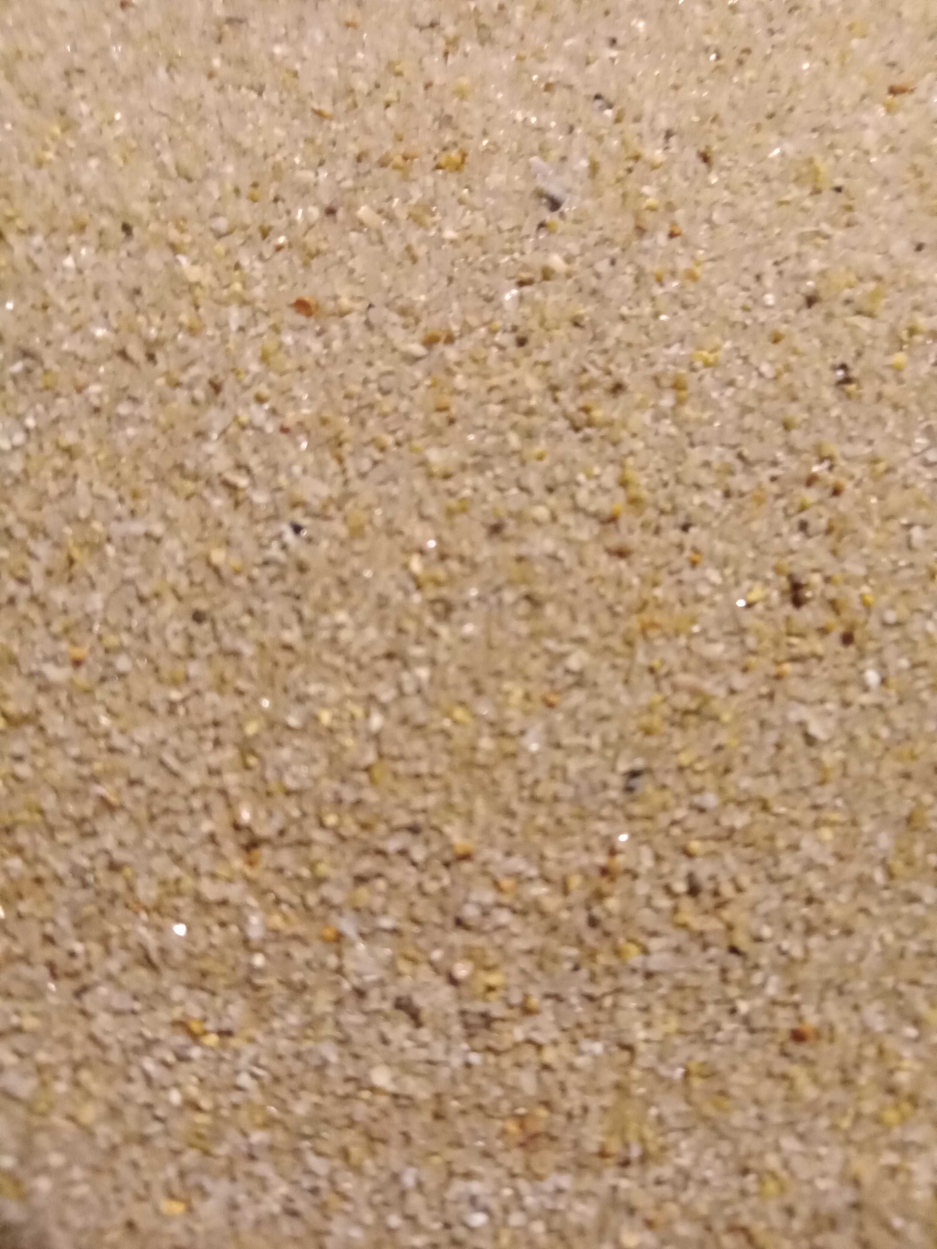 Papier ścierajający dla ptaków- Gravel Paper