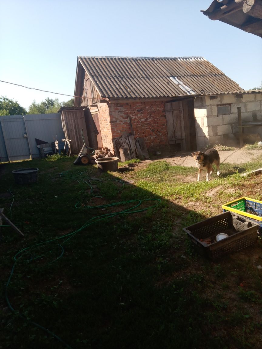 Продаётся дом в с. Богдановка .