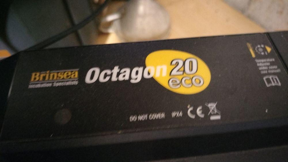 Chocadeira elétrica