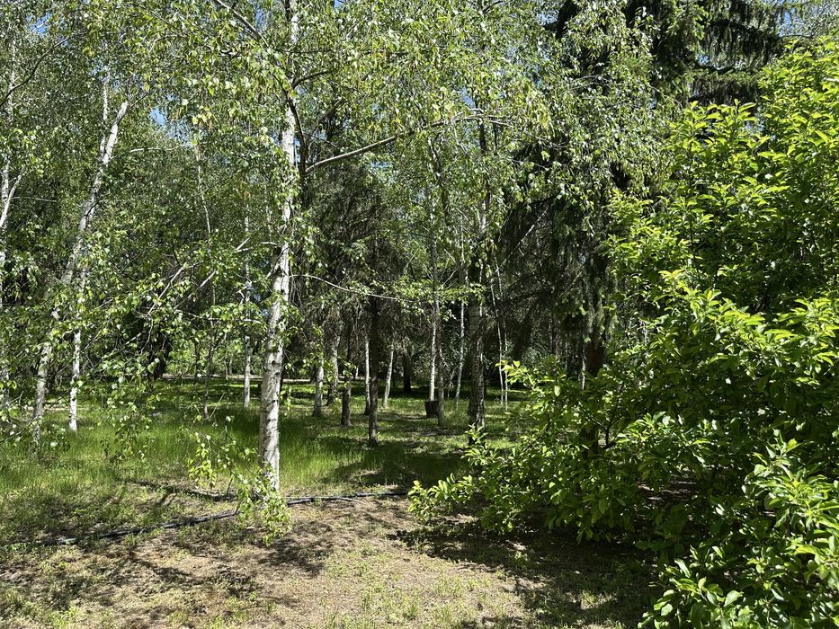 Оренда будинку з убежищем , для целителей здоровья и природи