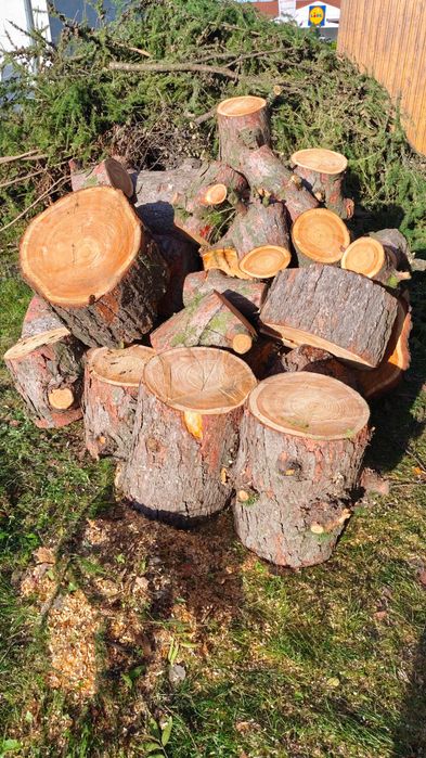 Sprzedam drewno modrzew