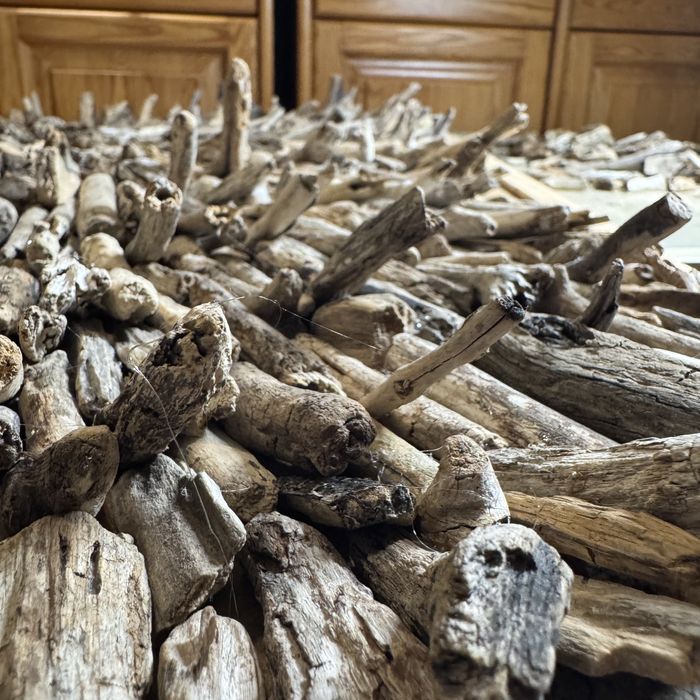 Rękodzieło „Eksplozja żywiołu”