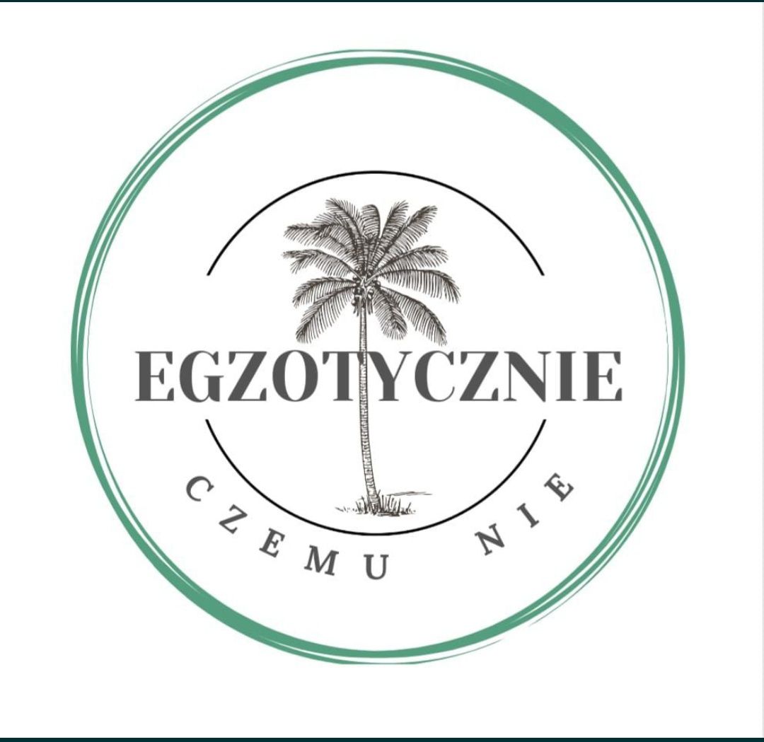 Leukokazja Gigantea Kolokazja Uszy Słonia roślina egzotyczna