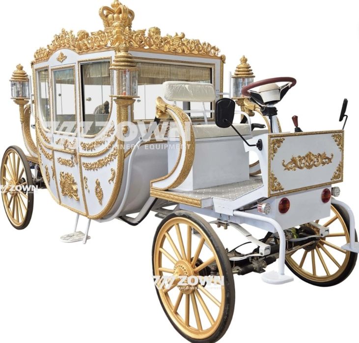 Coche Real Elétrico