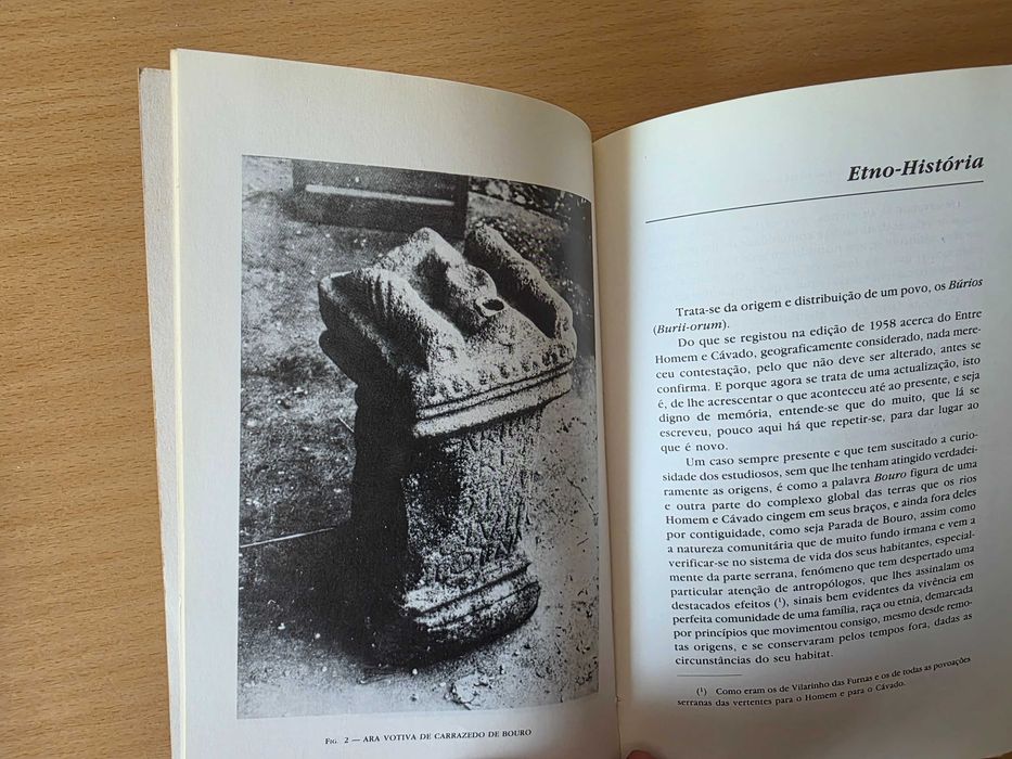 Livro "Os Búrios" de Domingos Maria da Silva
