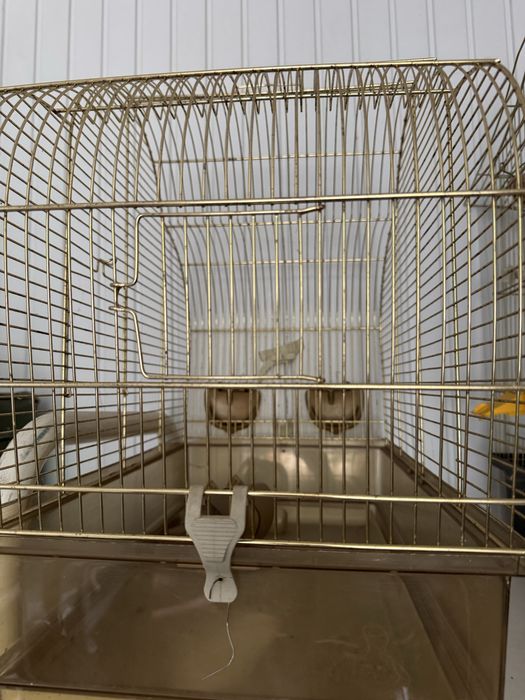 Клетка для попугаев