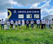 Дресирування  собак Кінолог у Вишгороді Київ Петрівці Межигір'я