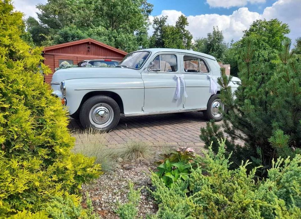 Samochód do ślubu auto do ślubu Warszawa 223 na ślub wesele zabytkowe