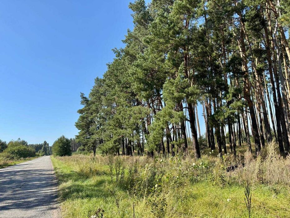 Продаж землі з власним озером під забудову! Прямий вихід в Ліс!