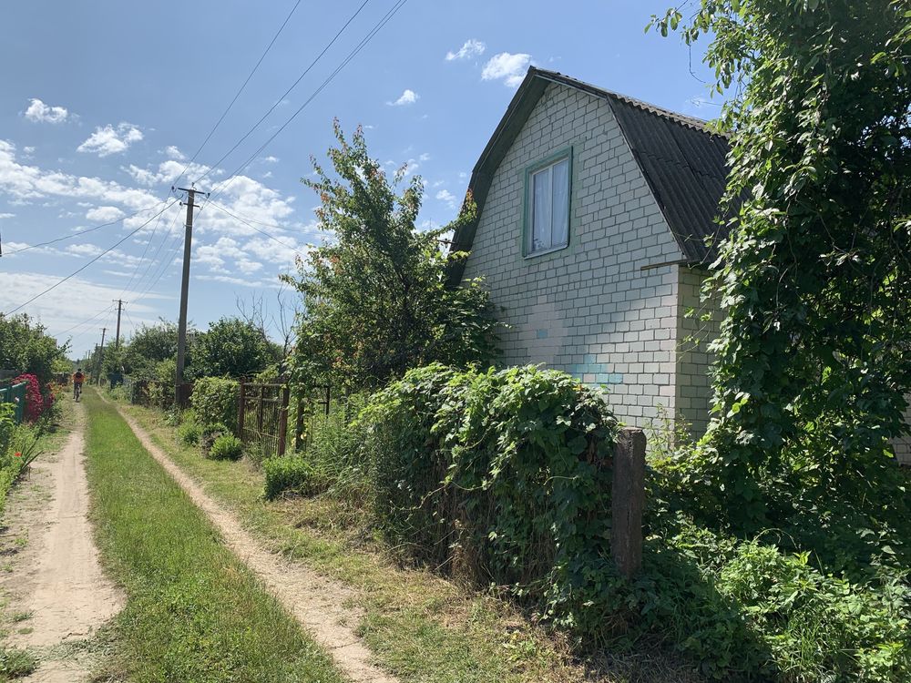 Продам гарну дачу, 5 сот., Березанка