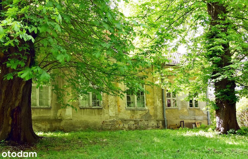 Dworek dla konesera w Elblągu