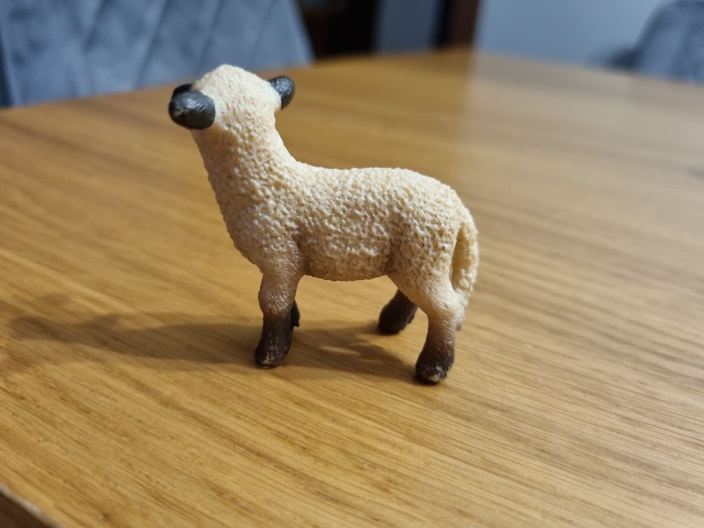 Owieczka schleich figurka