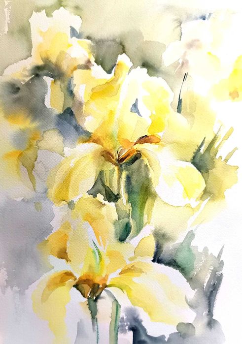 Akwarele , obrazy "Kwiaty". Różne rozmiary.