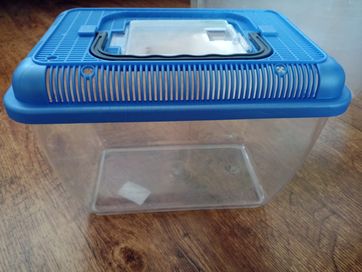 Terrarium Transporter pudełko plastik