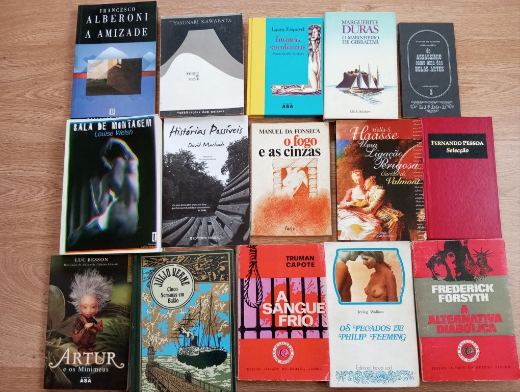 Lote 100 livros Literatura Internacional/Nacional