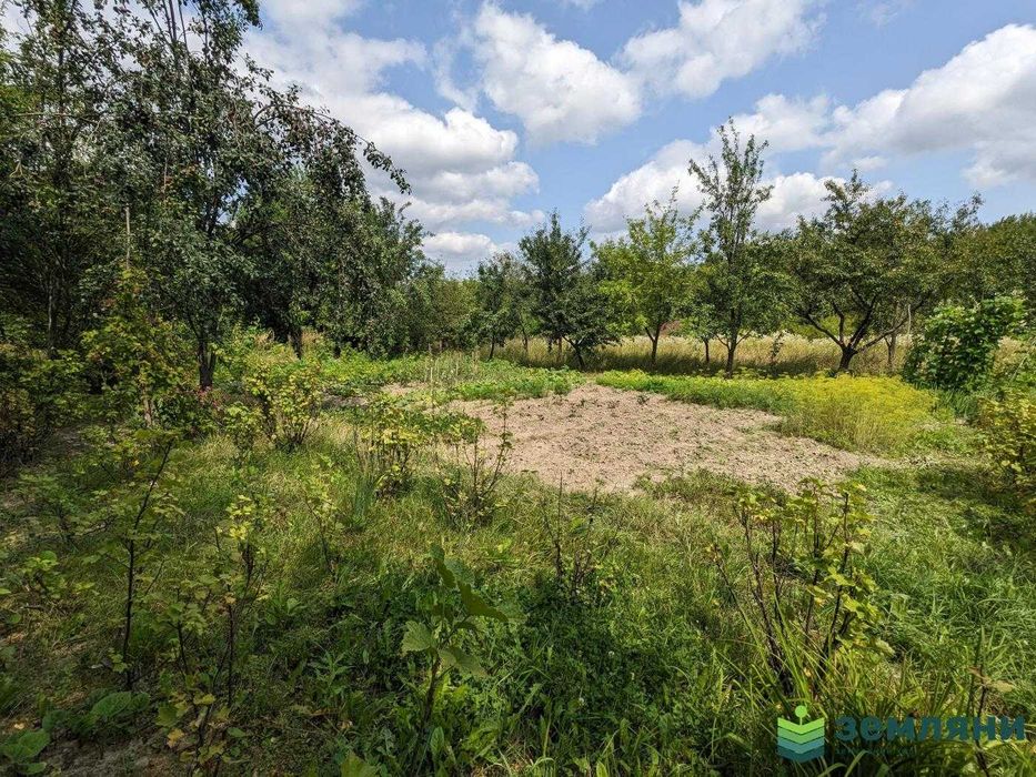 Продаж земельної ділянки в с. Павлівка (1)