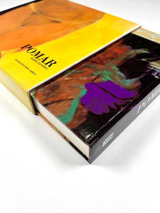 Júlio Pomar de Mário Dionísio Publicações Europa-América 1990 Livro