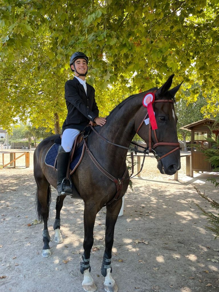 Excelente cavalo