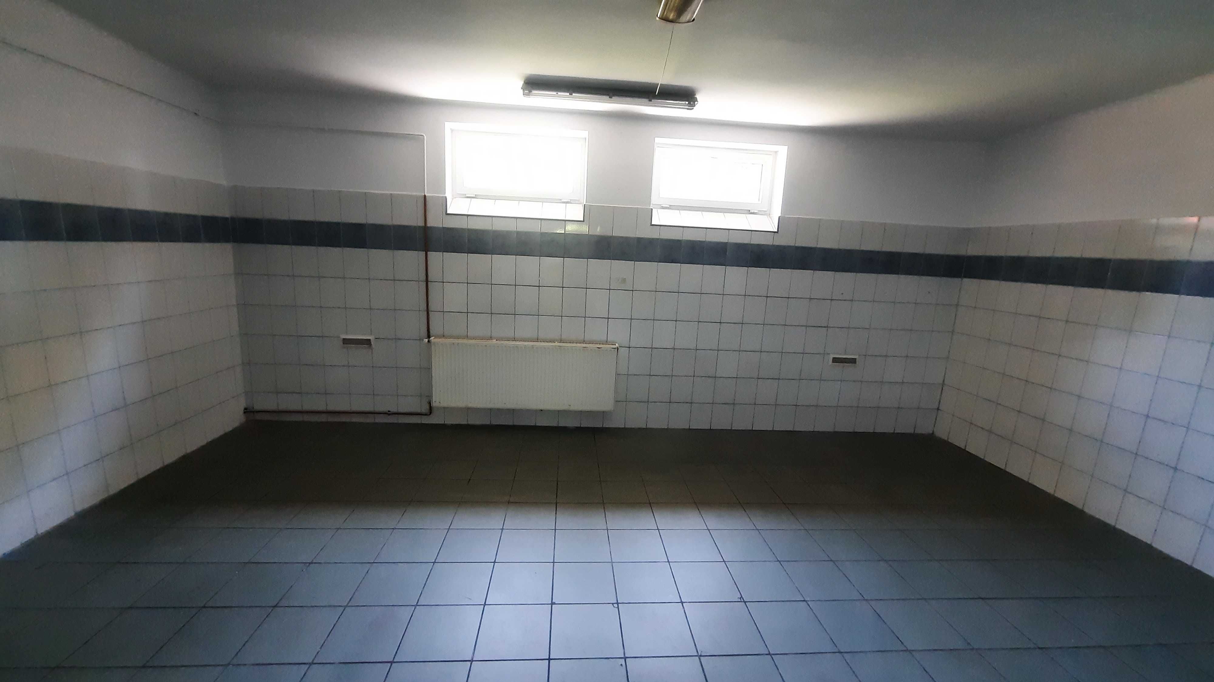 Lokal 361 m kw, w tym dwie hale po 90 m kw. rampa załad., Krzeszowice
