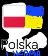 Sprzedam Mecz Polska Ukraina