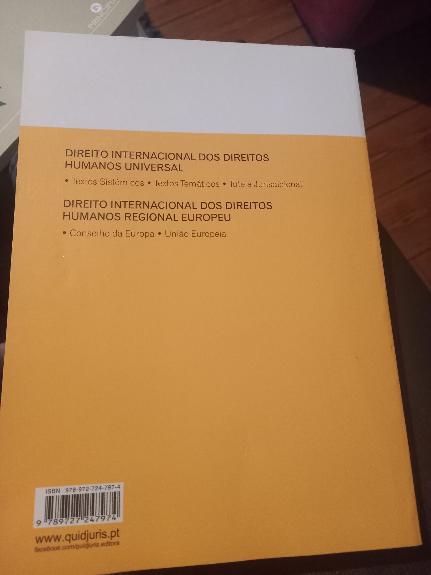 Livro "Direito Internacional dos Direitos Humanos"