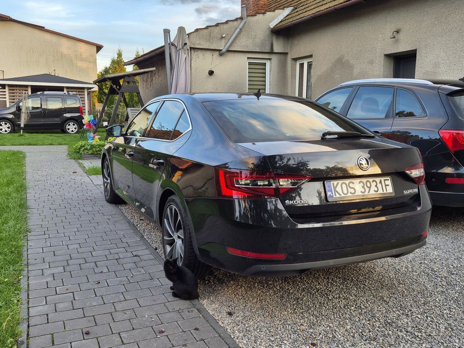 Skoda Superb L&K, DSG, navi, skóra, Canton, nowe turbo i dpf - zamiana