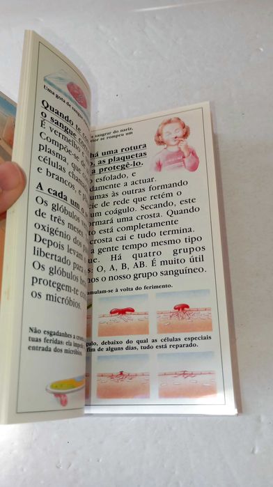 O Corpo Humano, uma maravilhosa Máquina