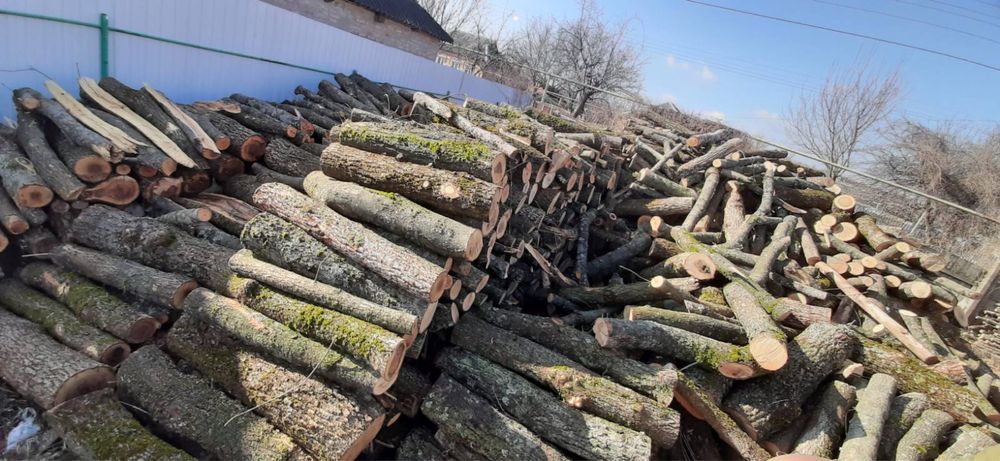 Продам Дрова твердих порід
