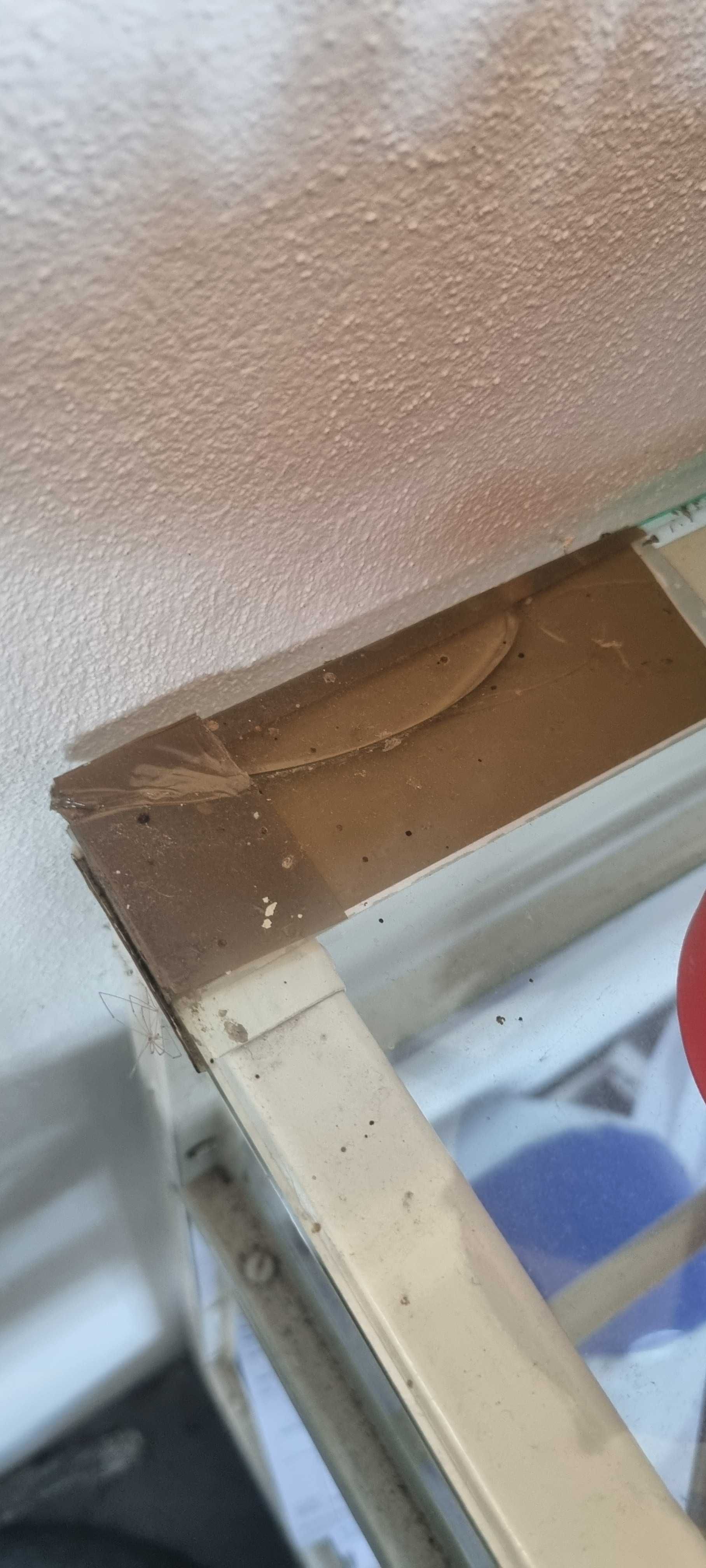 Móvel Vitrine com prateleiras