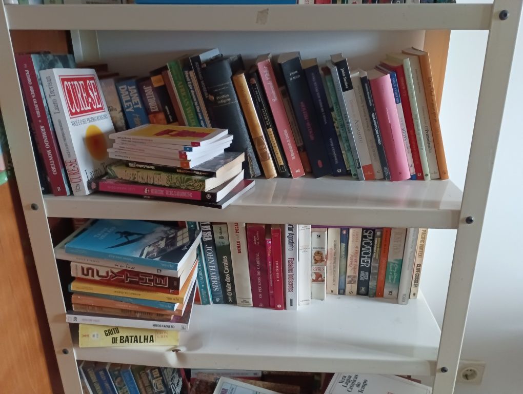 Lote de livros variados