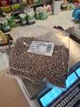 Łubin wąskolistny 1 kg na poplon