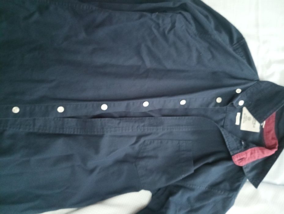 Camisas Springfield azuis (3x)